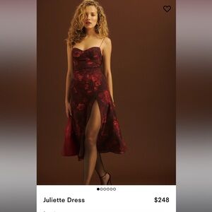 Reformation Juliette Dress in Sanguine